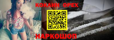 индика Гусев