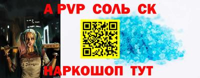 индика Гусев