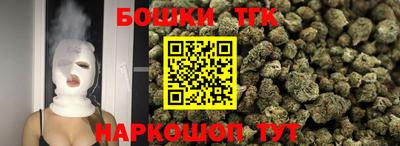 индика Гусев