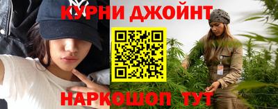индика Гусев