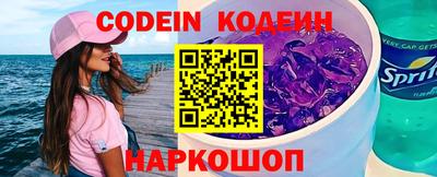 индика Гусев