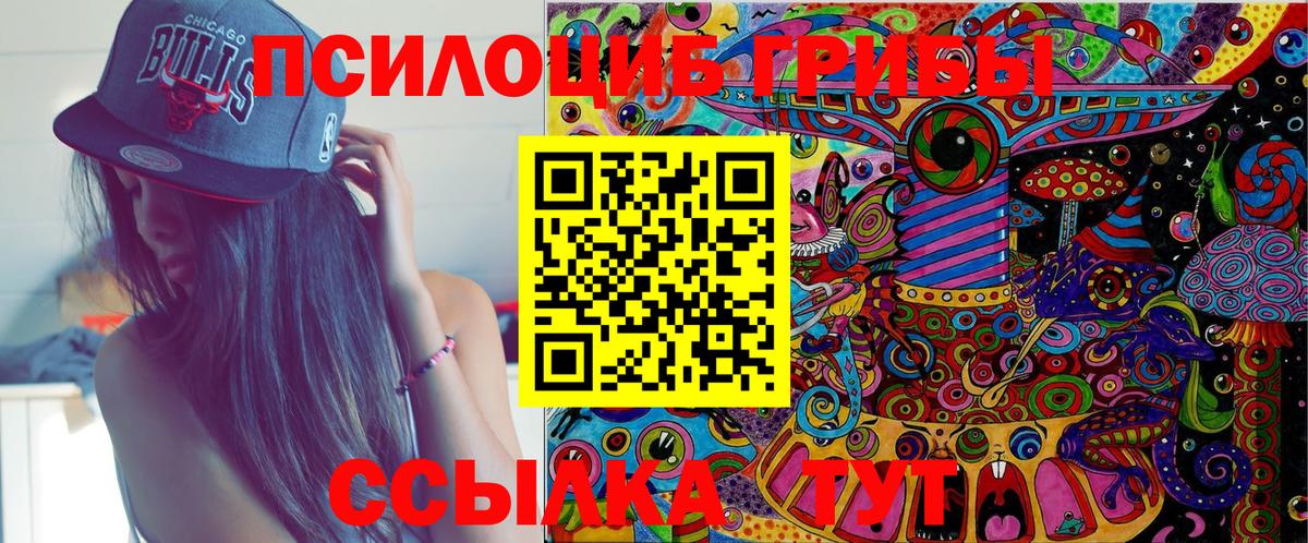 Псилоцибиновые грибы мицелий Муравленко